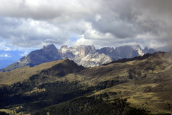 Blick zum Rosengarten